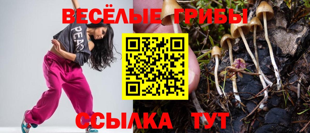 Псилоцибиновые грибы Psilocybine cubensis  Псилоцибиновые грибы мухоморы  Вход с VPN  Нягань 